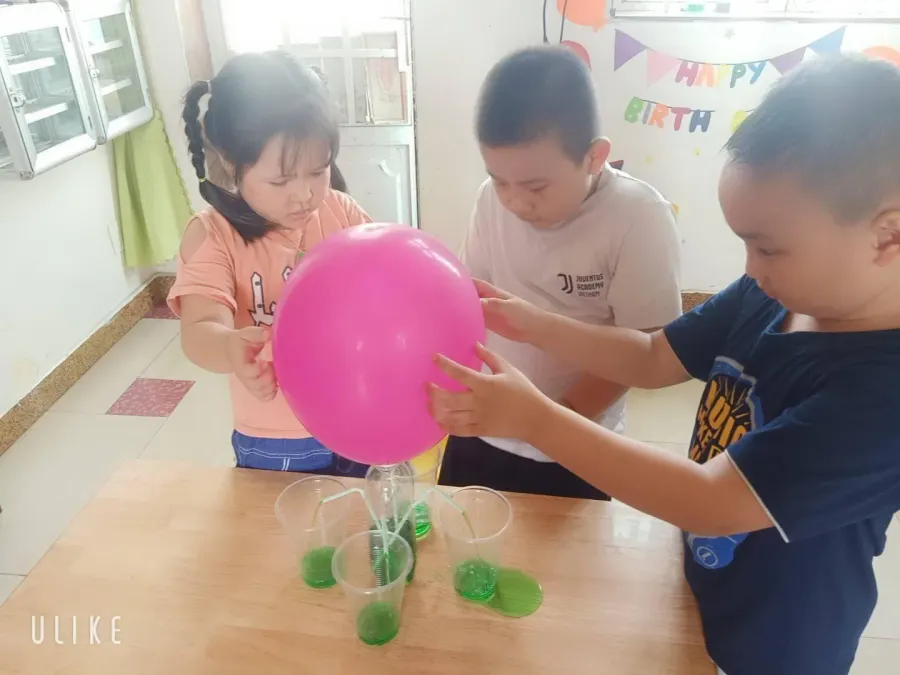 Trường Mầm Non Gấu Trúc Quận 12