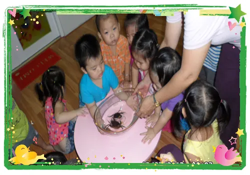 Trường mầm Non Bảo Ngọc - Phường 14