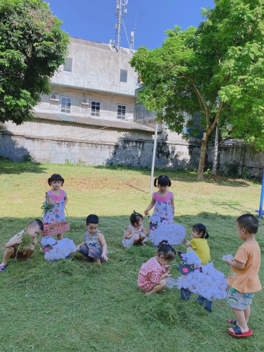 Trường Mầm Non Sao Mai - TX Phú Thọ