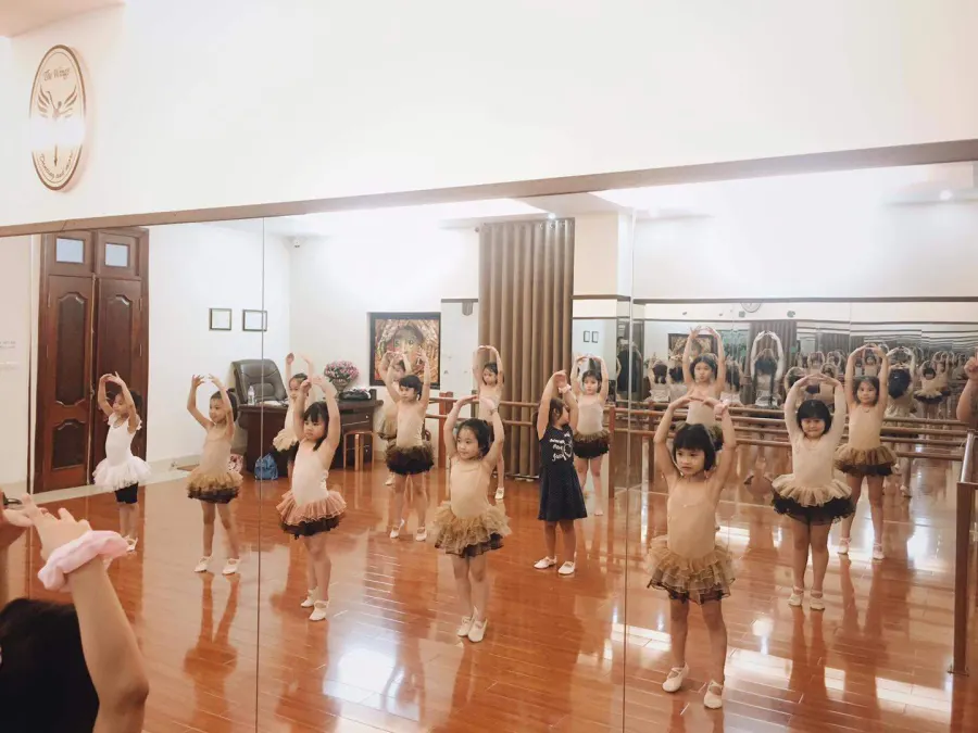 The Wings - CLB Nghệ Thuật