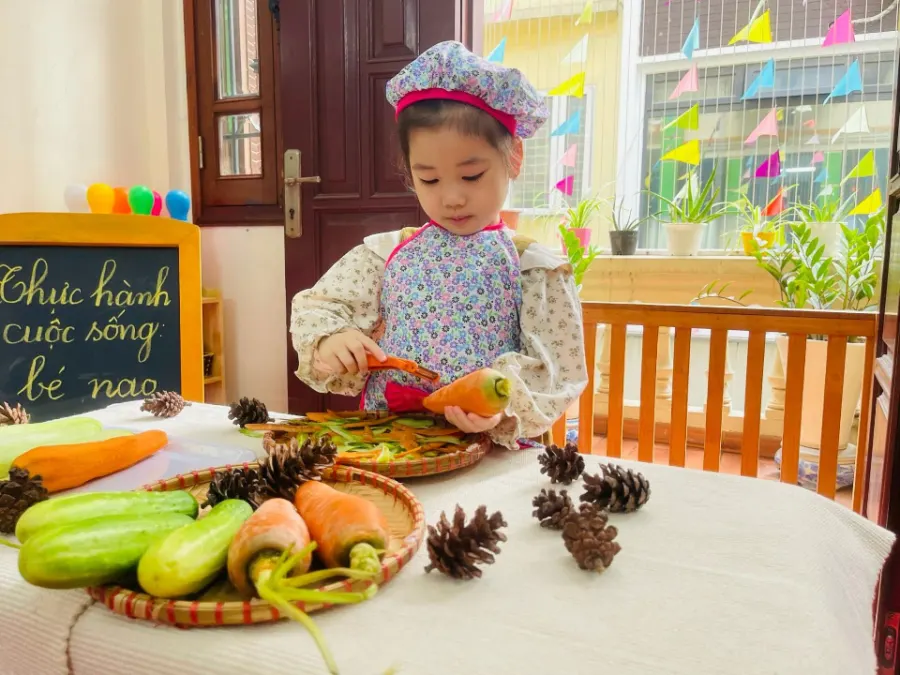 Mầm non Bách Việt 2