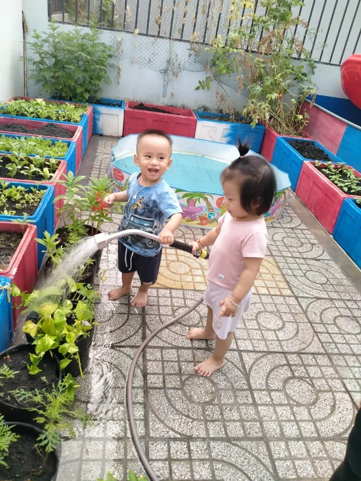 Trường Mầm non Song Ngữ Kangaroo Kids