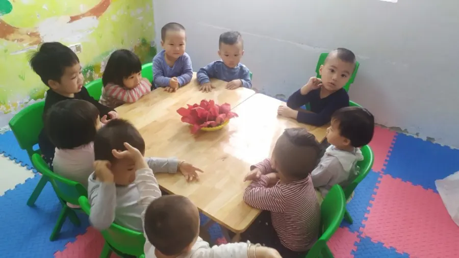 Mầm Non Gấu Trúc