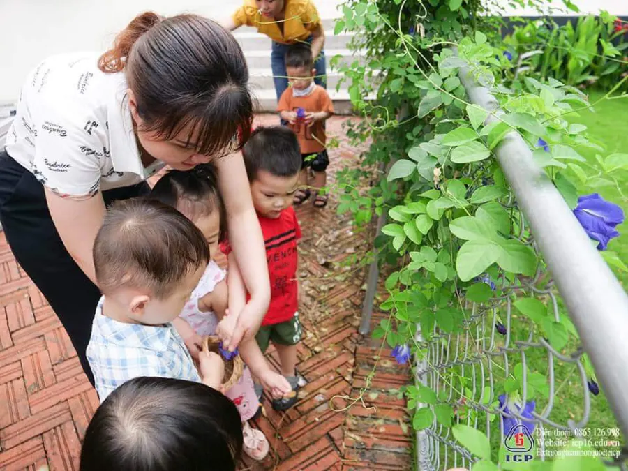 Trường Mầm Non Quốc tế thiếu nhi 1/6 ICP (International Children’s Preschool)