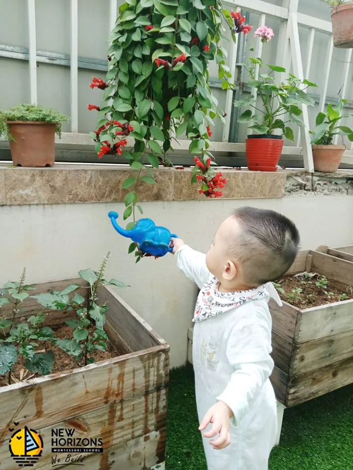 Trường mầm non New Horizons Montessori (Chân Trời Mới)