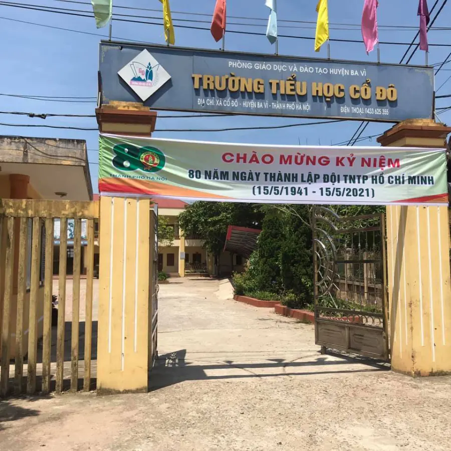 Trường Tiểu Học Cổ Đô