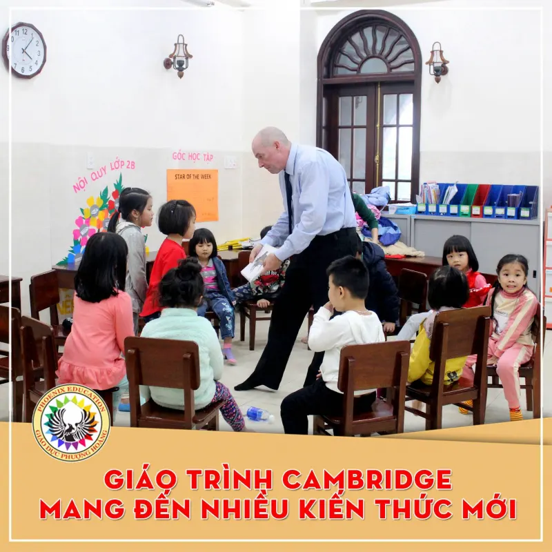 Trung Tâm Anh Ngữ Phượng Hoàng ( Phoenix Education )