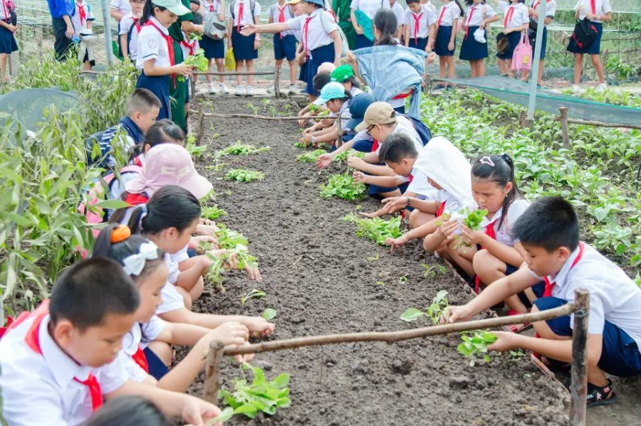 Trường Tiểu Học An Thạnh