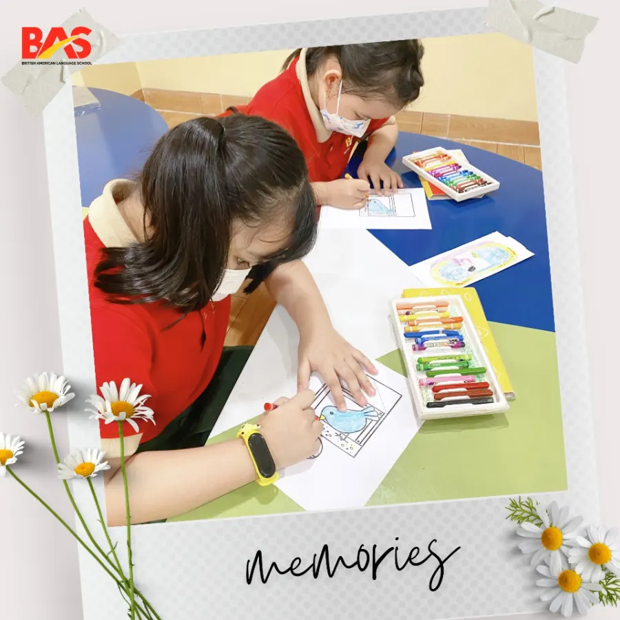 Trung Tâm Ngoại Ngữ BAS Anh Mỹ Bến Lức