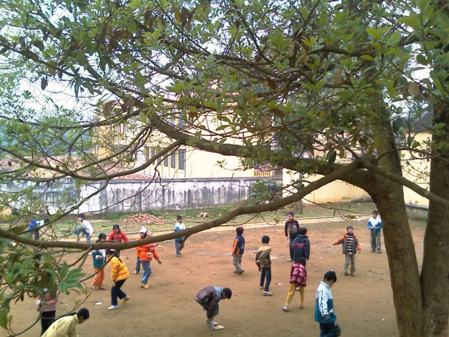 Trường tiểu học Dân Lực