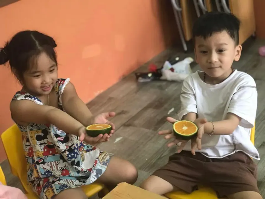 Trung Tâm Anh Ngữ Kite Language School