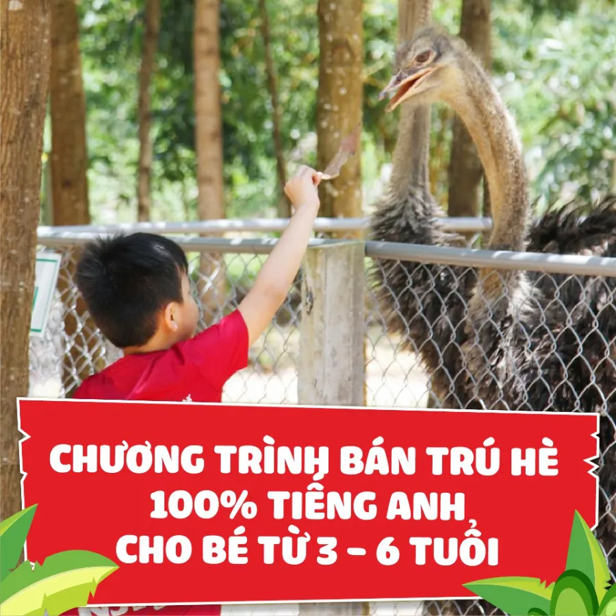 Trung Tâm Anh Ngữ Quốc Tế INS English