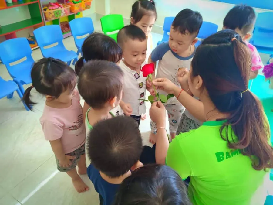 Trường Mầm Non Bamboo Green