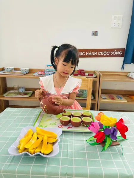 Trường Mầm Non Anh Vũ