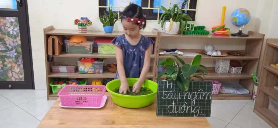 Trường Mầm Non IQ Măng Non