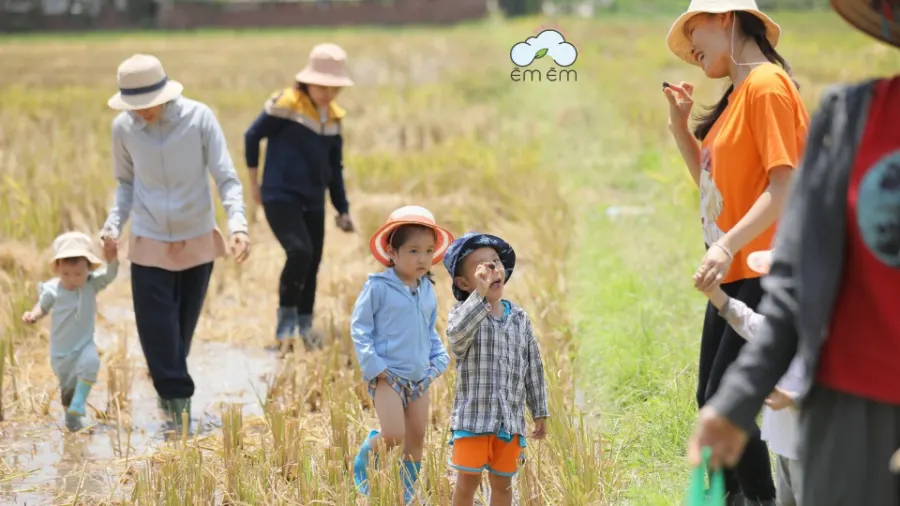 Trường Mầm Non Êm Êm Home Steiner (Inspired School)