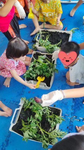 Trung Tâm Can Thiệp Sớm Ngày Mới