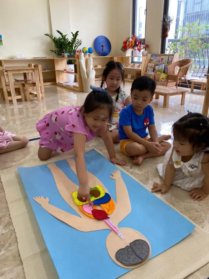 Trường Mầm Non Wonderland