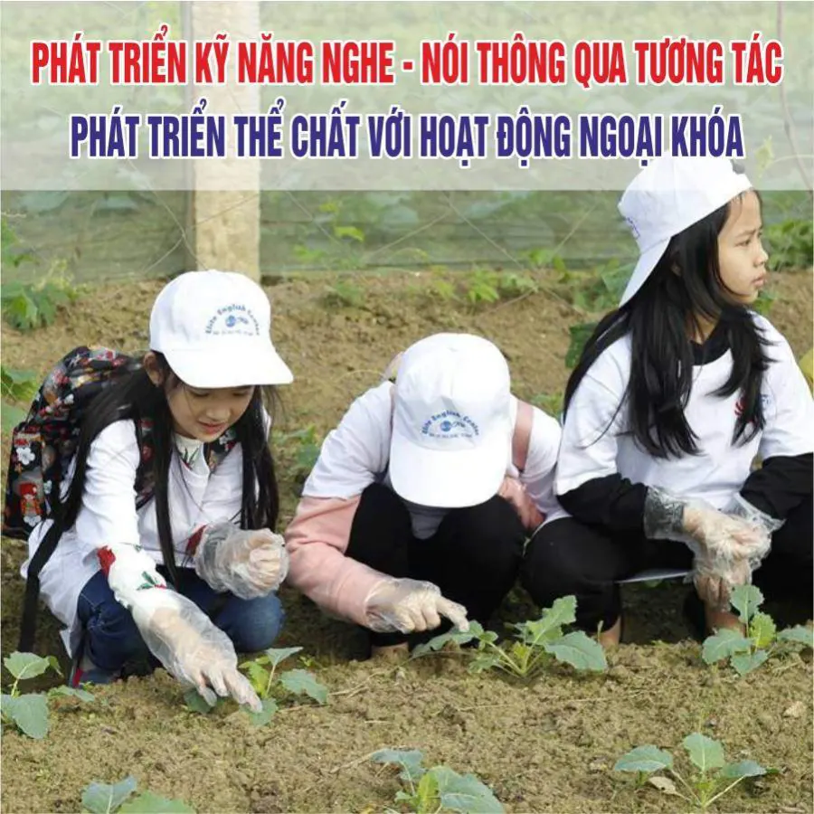 Trung Tâm Anh Ngữ Elite (Elite English Center)