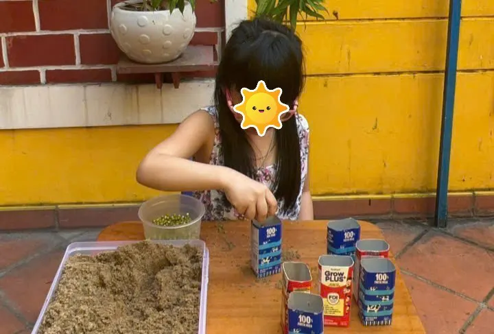Trung Tâm Hỗ Trợ Phát Triển Hòa Nhập Tâm Trí - An Hội Tây