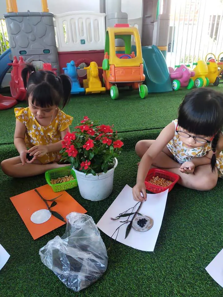 Trường Mầm Non Five Peas Bilingual Kindergarten